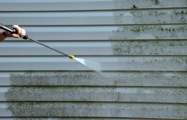 Best Roof Washing  in Elyria, OH